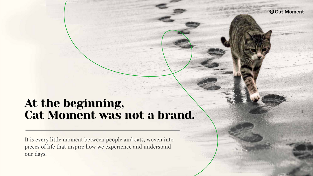 Cat Moment